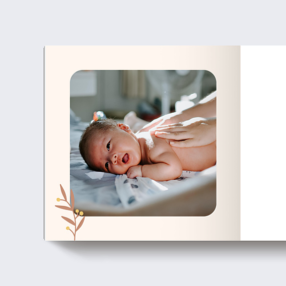 Album photo bébé Mésange Couronne (26 Photos)