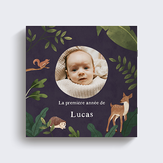Album photo bébé Jolie forêt