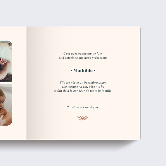 Album photo naissance Mésange Couronne (26 Photos) Page 2