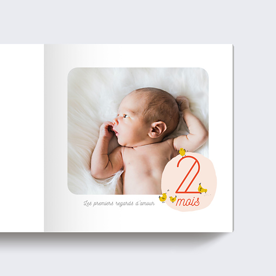 Album photo bébé Première Année de Bébé (14 photos)