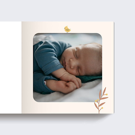Album photo bébé Mésange Couronne (26 Photos)