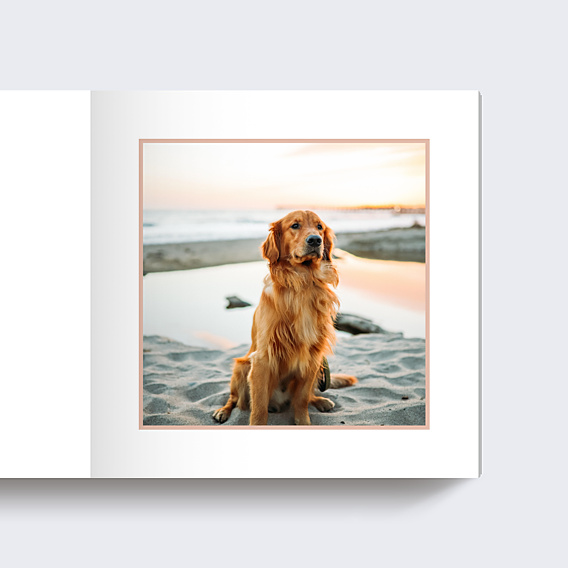 Album Photo Famille Amour en Fête