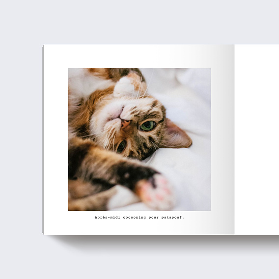 Album photo famille Polaroid (32 Photos) Page 3