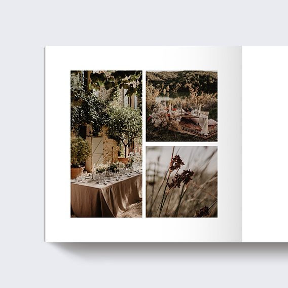 Album Photo Famille Fleur de Verveine