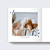 Album Photo Famille Motif petits cœurs