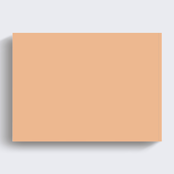 Album photo famille Couple  Verso