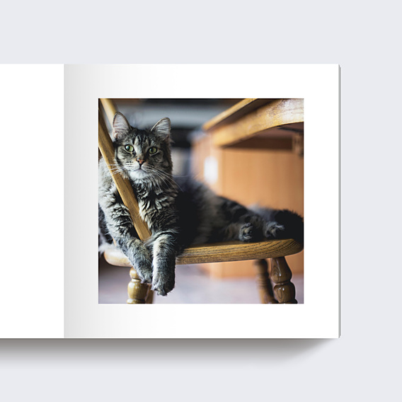 Album Photo Famille Polaroid (16 photos)