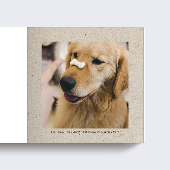 Album Photo Famille Chiné (32 Photos)