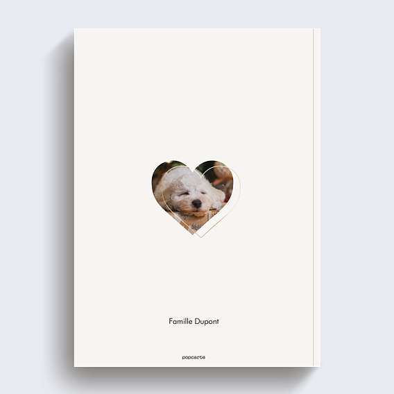 Album photo famille Rétrospective année Verso