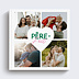 Album photo famille Père-fect