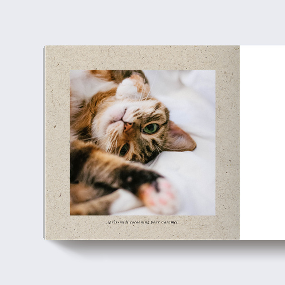 Album Photo Famille Chiné (32 Photos)