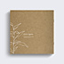 Album Photo Mariage Fleur Blanche