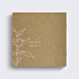 Album Photo Mariage Fleur Blanche