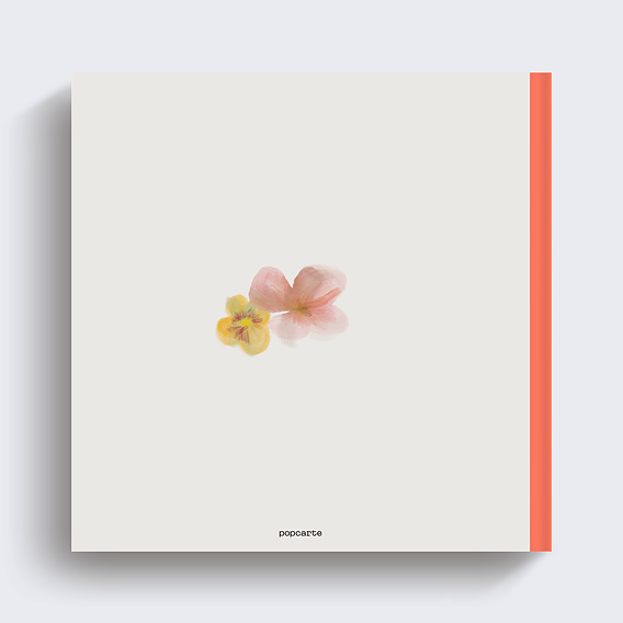 Album photo mariage Grande Arche Verso