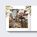 Album Photo Mariage Bohemia