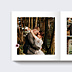 Album Photo Mariage Jardin Sauvage