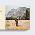 Album photo famille Essence d'Hiver Page 2