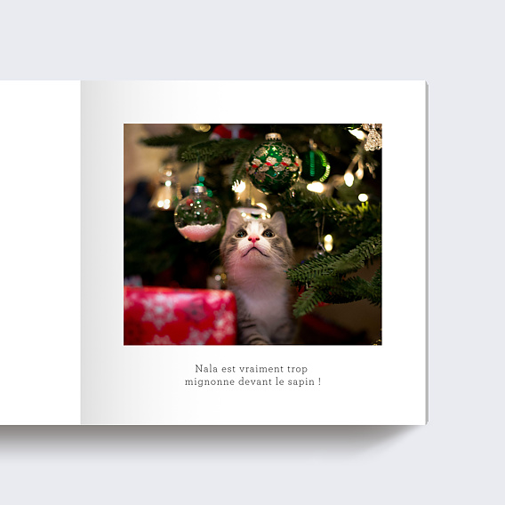 Album photo famille Papier Déchiré Page 4