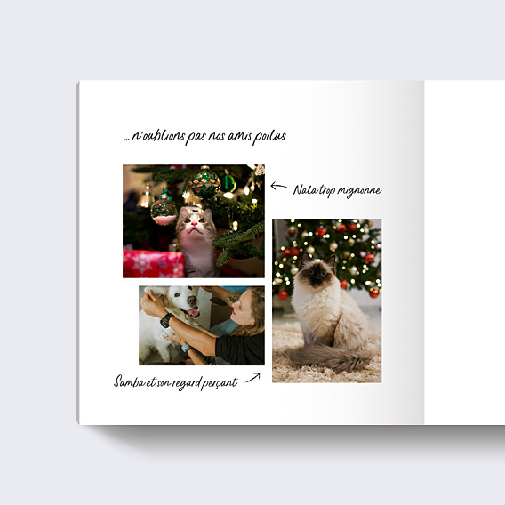 Album Photo Famille Meilleure Famille