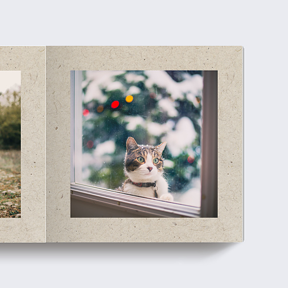 Album Photo Famille Chiné Noël