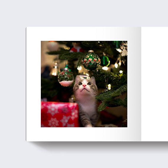 Album photo famille Tampon Ovale Page 3