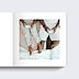 Album Photo Famille Éditorial