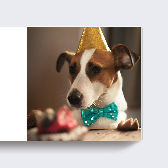 Album photo famille Étiquette Carré Page 4