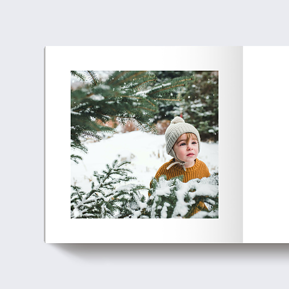 Album Photo Famille Editorial Noël