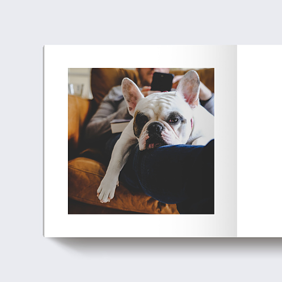 Album Photo Famille Branches de pin