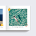 Album photo voyage Citrons (15 Photos) Page 2
