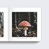 Album photo voyage Pola Automnal Page 2