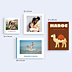 Album photo voyage Maroc minimaliste