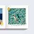 Album photo voyage Citrons (15 Photos)