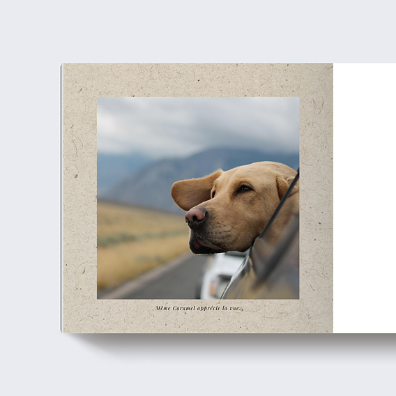 Album photo voyage Chiné (32 photos) Page 3