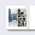 Album photo voyage Jolis Flocons Page 3