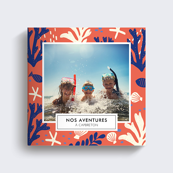 Album photo voyage Coquillages (15 Photos)