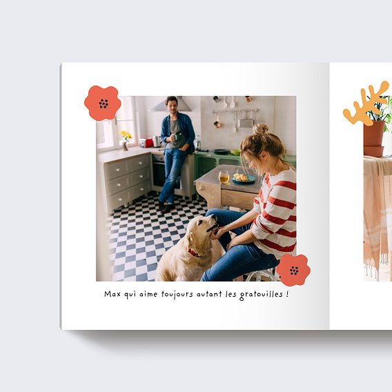 Album photo voyage Tropical (15 Photos) Page 1