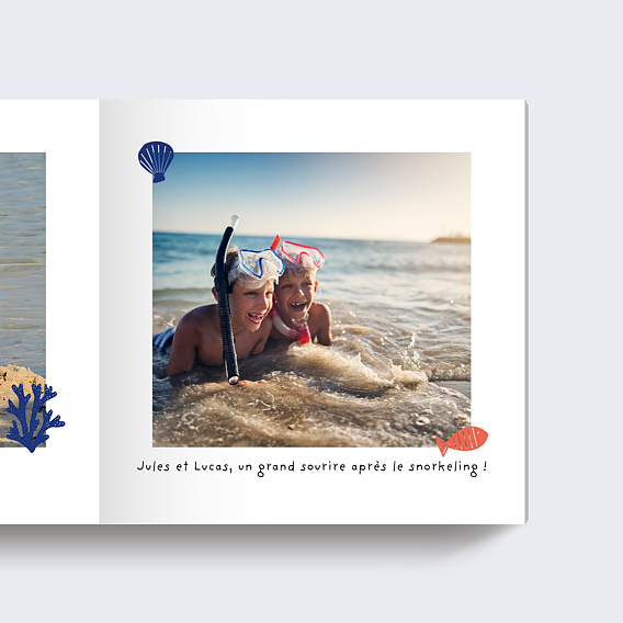 Album photo voyage Coquillages (15 Photos) Page 2