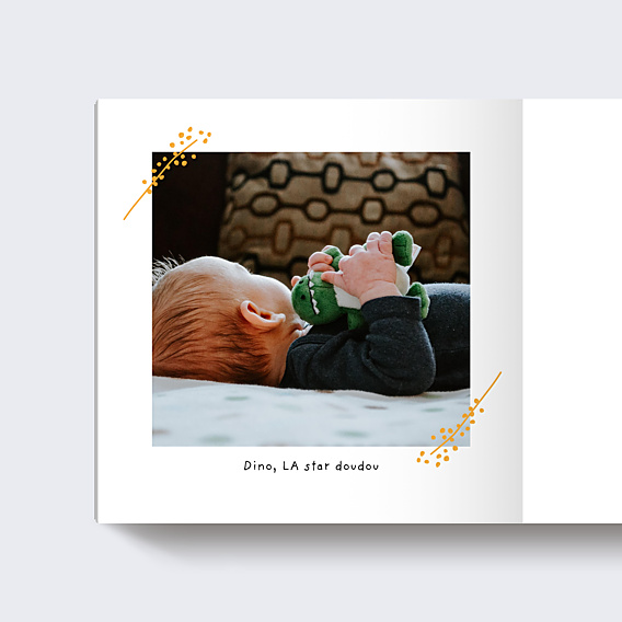 Album photo voyage Tropical (15 Photos)