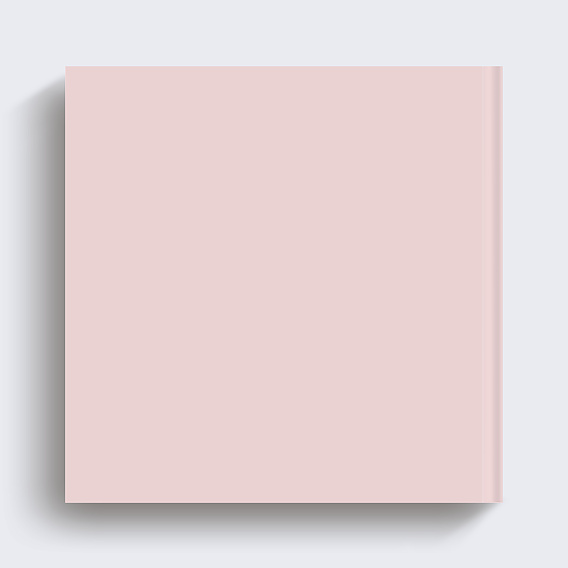 Album photo voyage Polaroid Verso