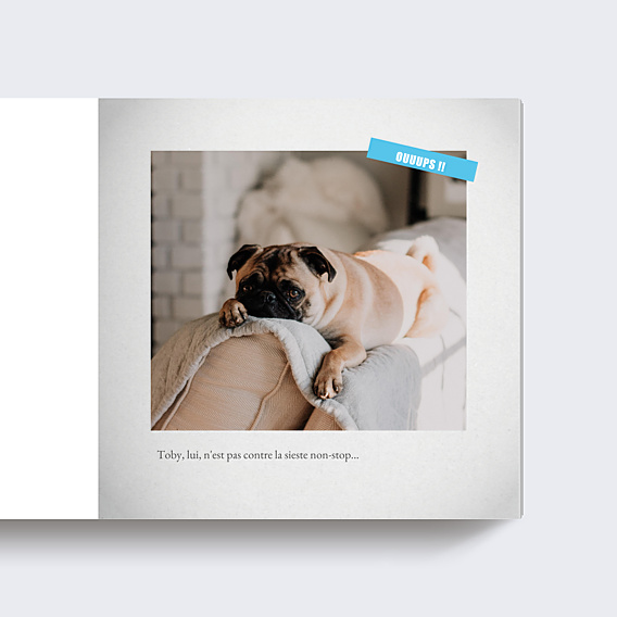 Album photo voyage Journal (16 photos)