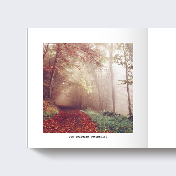 Album photo voyage Pola Automnal Page 3