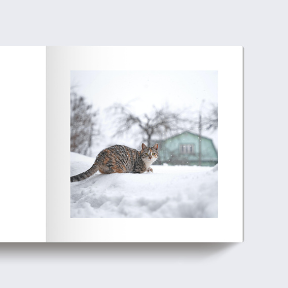 Album photo voyage Jolis Flocons Page 4