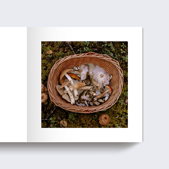 Album photo voyage Linéal Automne Page 4