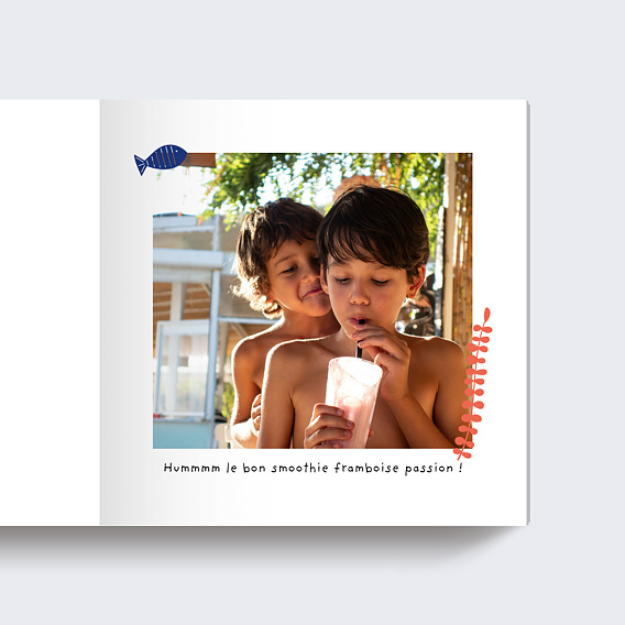 Album photo voyage Coquillages (15 Photos) Page 4