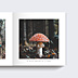 Album photo voyage Pola Automnal