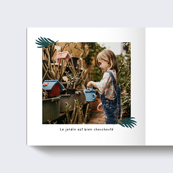 Album photo voyage Tropical (15 Photos)