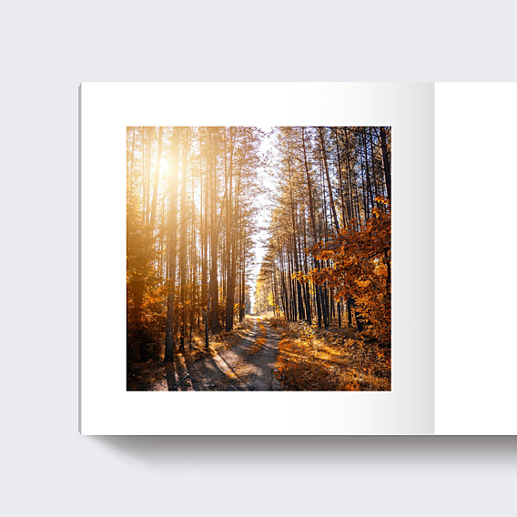 Album photo voyage Linéal Automne