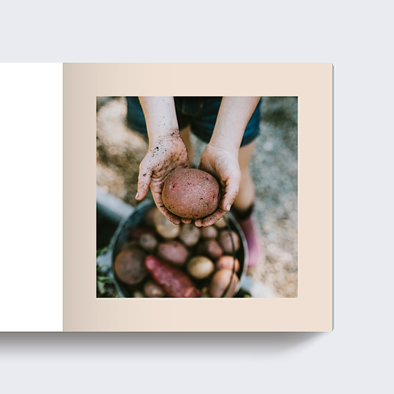 Album photo voyage Étiquette Poudrée