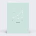 Carte anniversaire adulte Astro Capricorne Verso